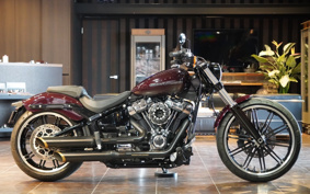 HARLEY FXBRS 2021 YHK