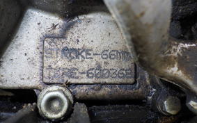 HONDA TLR260 2018 TLR260F
