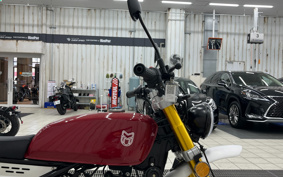 OTHER RAY ZA- BACK 250 ...