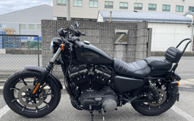 HARLEY HARLEY XL883N 2021 LE2
