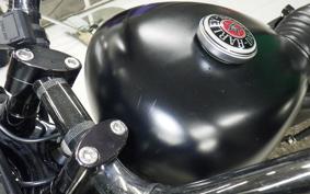 HARLEY XL883N 2010