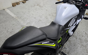 KAWASAKI Ninja 250SL BX250A