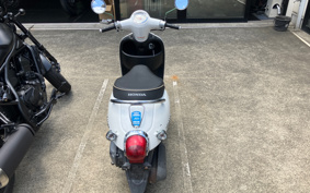HONDA GIORNO AF70
