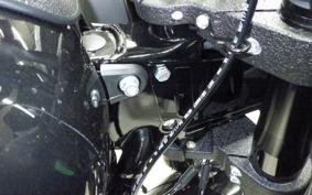 HARLEY FXLRST1920 2026