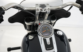 HARLEY HARLEY FLSB 2020 YMJ