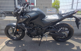 YAMAHA MT-25 RG74J
