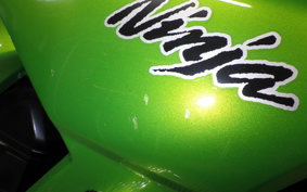 KAWASAKI NINJA 1000 2011