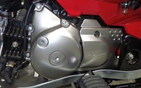 HONDA CT125 HUNTER CUB JA55