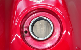 HONDA HORNET 250 MC31