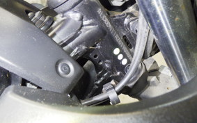 SUZUKI GSX250R 2025