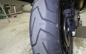 TRIUMPH TIGER 900 RALLY PRO 2022
