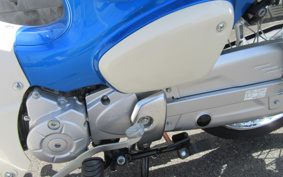 HONDA SUPER CUB50 AA09