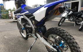 YAMAHA WR250F CG35