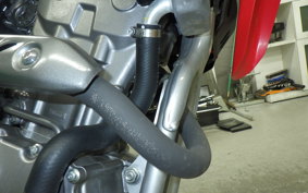 HONDA CRF250L 2006 MD47