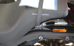 HARLEY  HARLEY FXLRS 2025 YWK