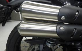 TRIUMPH SCRAMBLER 900 2023