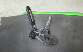 KAWASAKI Z125 PRO 2013 BR125H