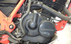 HONDA TLR200 MD09