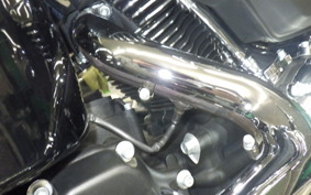 HARLEY FLFB1920 2025