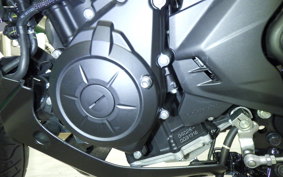 YAMAHA MT-25 A 2010 RG43J