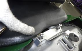 KAWASAKI NINJA 1000SX 2022 ZXT02K