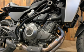 HARLEY  HARLEY X350 2024 W3C