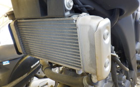 YAMAHA XSR155