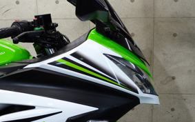 KAWASAKI NINJA 250 EX250L