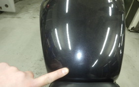 TRIUMPH SPEED400 2024