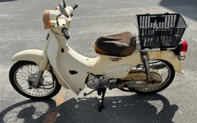HONDA SUPER CUB50 AA09