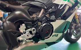 DUCATI PANIGA-REV4 TRICOLOR 2026 5D00