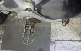 KAWASAKI KX250 F 2019 KX250Y