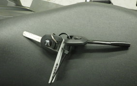 HONDA REBEL 1100 TD 2023 SC83