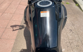 SUZUKI STROM 250 DS11A