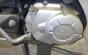 HONDA C50 SUPER CUB AA04