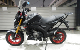KAWASAKI Z125 PRO BR125H