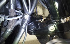 KAWASAKI W800 STREET 2022 EJ800E