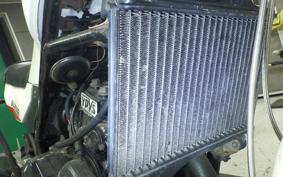 YAMAHA RZ250R 29L