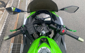KAWASAKI NINJA 250 EX250L