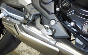 KAWASAKI Z650 RS 2024 ER650R