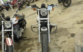 HARLEY XL883LI