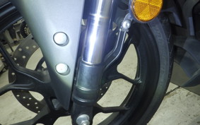 YAMAHA YZF-R25 2007 RG43J