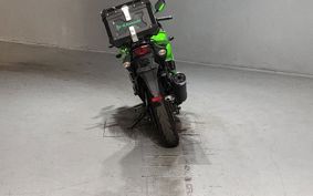 KAWASAKI NINJA 250R EX250K