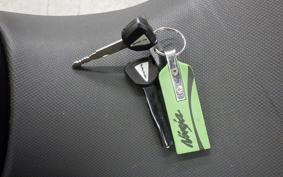 KAWASAKI NINJA 400 2020 EX400G