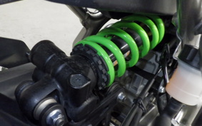 KAWASAKI ZX-4RR 2024 ZX400P