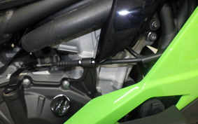 KAWASAKI ZX-4RR 2024 ZX400P