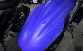 YAMAHA WR250X 2024 DG15J