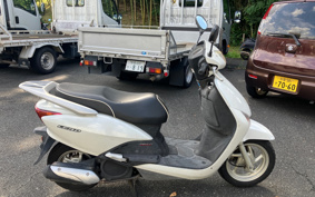HONDA LEAD 110 JF19