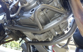SUZUKI DJEBEL 250 XC 2010 SJ45A
