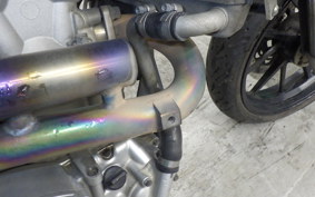 YAMAHA WR250X 2026 DG15J